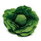 Erzi Lehtsalat