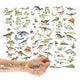 Papierdrachen ajutine tattoo, World of Dinosaurs