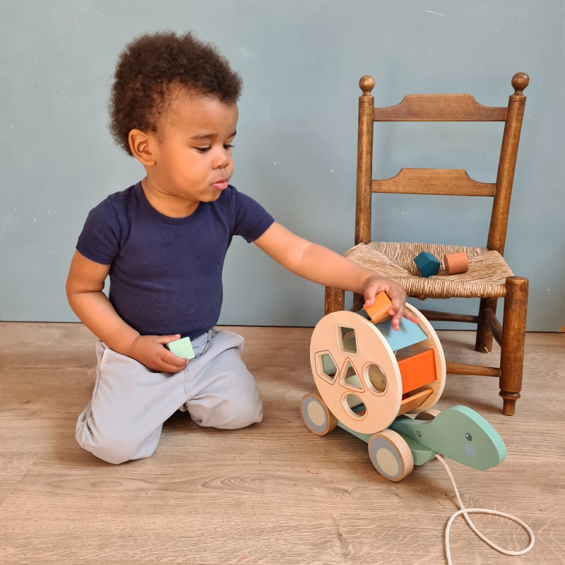 Montessori mänguasjad kodus: arendava keskkonna loomine