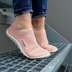 Leguano Scio, rose