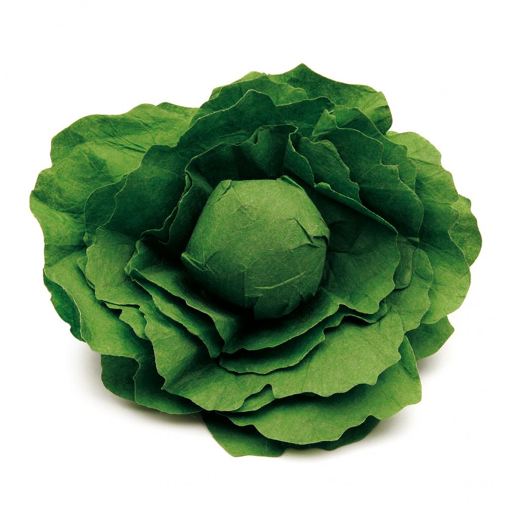 Erzi Lehtsalat