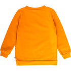 Fred´s World pusa, Sunflower