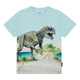 Molo Roxo T-särk, Beach Dino