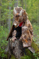 Great Pretenders Grandasaurus Triceratopsi keep+küünised