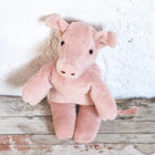 Senger Naturwelt Baby Pig