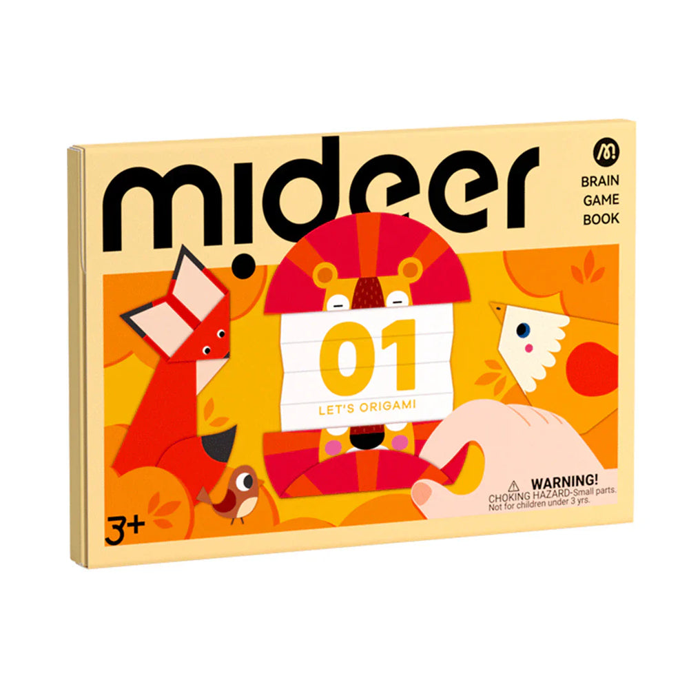 Mideer mõtlemismängude raamat, origami ülesanded 1.tase