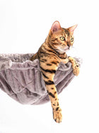 Petrebels Hammock Luxury Sleeper XL 48CM, Cappuccino