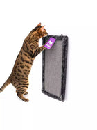 Petrebels Scratch Corner 57