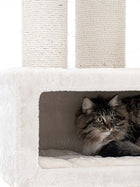 Petrebels Parklane 131 kasside ronimispuu, Cream