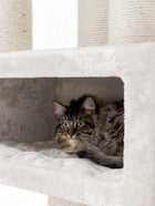 Petrebels Parklane 131 kasside ronimispuu, Cream