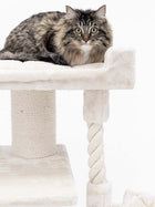 Petrebels Parklane 131 kasside ronimispuu, Cream