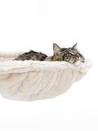 Petrebels Parklane 131 kasside ronimispuu, Cream