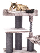 Petrebels Parklane 131 kasside ronimispuu, Cappuccino
