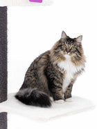 Petrebels Cat Tree Maine Coon 117, Off white