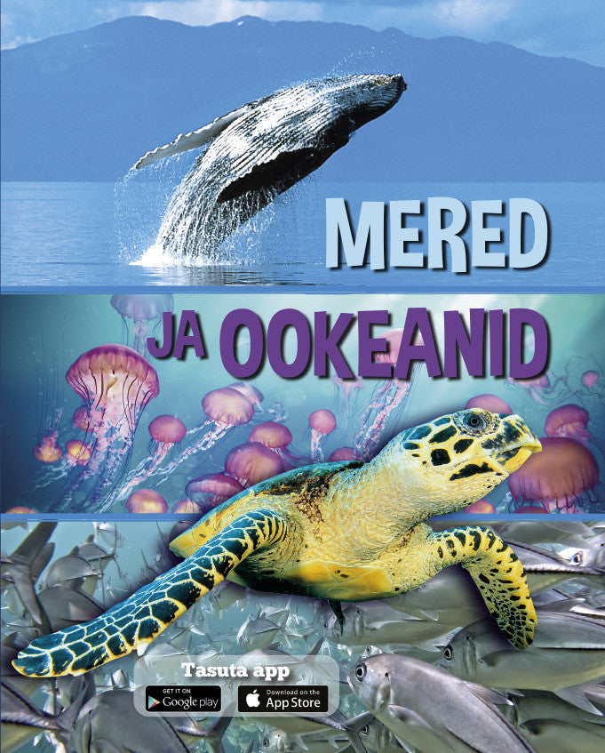 Mered ja ookeanid
