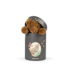Moulin Roty jänku­nukk Arthur Arthur et Louison