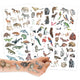 Papierdrachen ajutine tattoo, Animals of the World