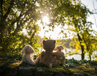 Moulin Roty jänesepoeg kinkekarbis, suur