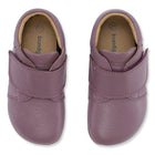 Bundgaard Tannu, Orchid M