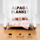 INKARI Elegante alpakavillane tekk, Pink