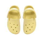 D.D Step clogid, sunrise gold