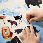 Poppik poster ja kleepsud Discovery 