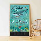 Poppik poster ja kleepsud Discovery 