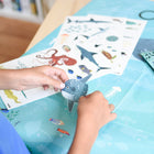 Poppik poster ja kleepsud Discovery 