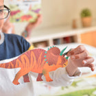 Poppik poster ja kleepsud Discovery 