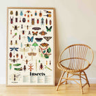 Poppik poster ja kleepsud Discovery 
