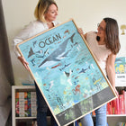 Poppik poster ja kleepsud Discovery 