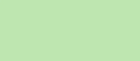 D.D Step clogid, water lily green