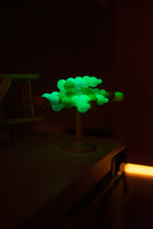 LEKKID Magical Lights Pack