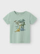 Name It puuvillane t-särk FAUST SS TOP, jadeite