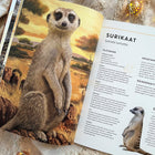Elutruud loomad. Aafrika