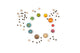 Grapat Dear Univers