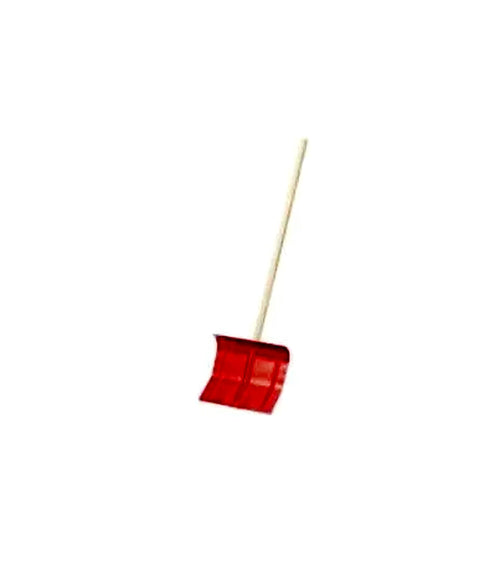Glückskäfer labidas
