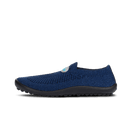 Leguanito Scio, blue