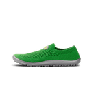 Leguanito Scio, green