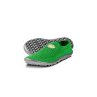 Leguanito Scio, green