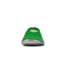 Leguanito Scio, green