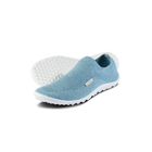 Leguano Scio, mint