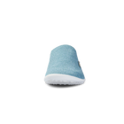 Leguano Scio, mint