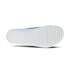 Leguano Scio, mint