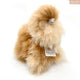 INKARI Medium Alpaka, Monsterfluff Sandstone 32cm