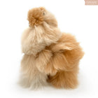 INKARI Medium Alpaka, Monsterfluff Sandstone 32cm