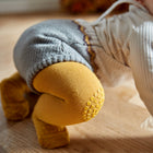 GoBabyGo libisemiskindlad sukkpüksid, Sinep