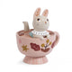 Moulin Roty Jänes Brume rahakassa