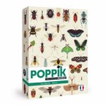 poppik-puzzle-500-pieces-insectes-owen-davey-illustration