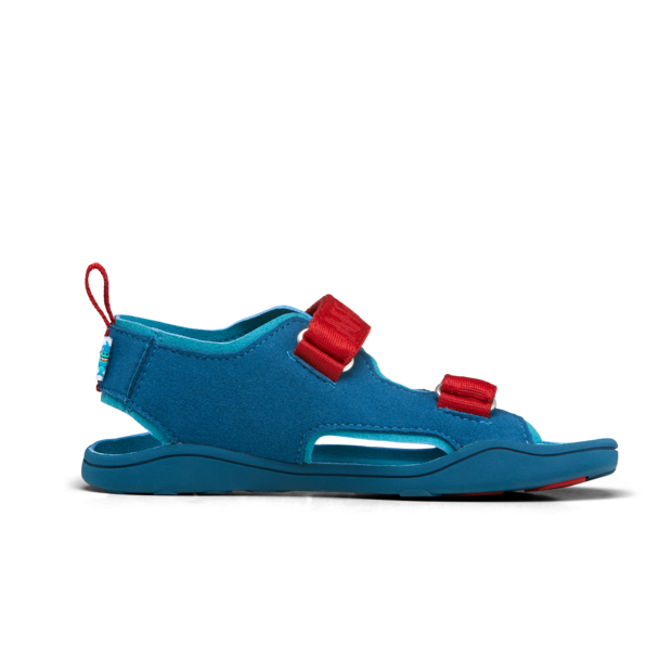 Affenzahn vegan sandaalid Microfibre Airy- Shark Laste barefoot jalatsid - HellyK - Kvaliteetsed lasteriided, villariided, barefoot jalatsid